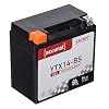 Accurat motorfietsaccu YTX14-BS 14Ah 200A 12V gel-technologie startaccu in OEM-kwaliteit cyclusvast veilig opbergbaar…