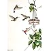Mosaic Birds Hummble Slim Hummingbird Feeder, M045-301, 3.4 Ounce Capacity, Clear, 1 Piece