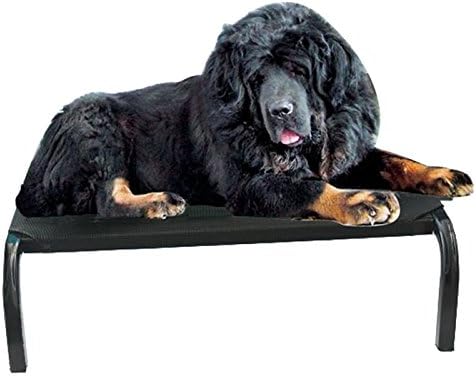Iron Frame Dog Beds for Large/Medium Dogs Clearance Prime Waterproof Removable E-Installation Oudoor/Indoor