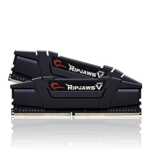 G.Skill Ripjaws V 16GB (2x8GB) DDR4-3200 F4-3200C16D-16GVKB