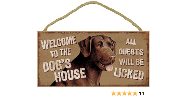 dog licked chocolate