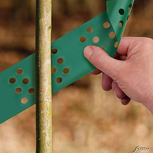 Garten Schlüter 10 Grüne Baumspiralen für Stammschutz und Rindenschutz gegen Wildverbiss und Fraßschäden, 75 cm hoch… – Bild 3