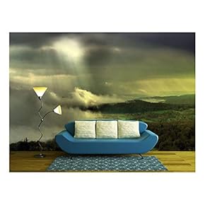 Path to Light Through a Dark - Removable Wall Mural | Self-Adhesive Large Wallpaper - 66x96 inches