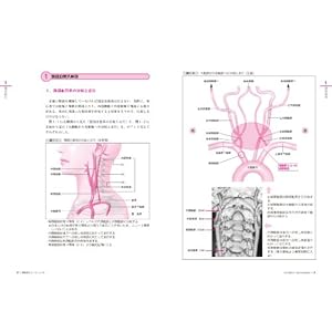 Tenitoru yoÌ„ni wakaru keidoÌ„myaku ekoÌ„ manyuaru : Torikata kara keisoku made