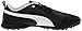 PUMA Men's Biofly Golf Shoe