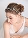 fxmimior Bridal Wedding Crystals Long Hair Vine Wedding Evening Party Headpiece (gold)