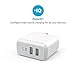Anker 24W Dual USB Wall Charger PowerPort 2 with Foldable Plug + 3ft Lightning-to-USB Cable for iPhone X/8/SE/6/6s/6 Plus, iPad Air 2/Pro/mini 3 and More