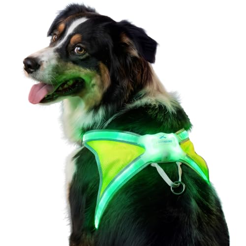 noxgear LightHound LED Dog Harness