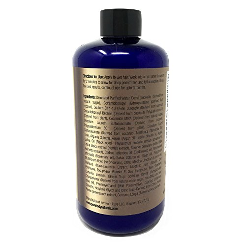Pure Body Naturals Anti-Hair Loss Shampoo with Biotin & 14 DHT Blockers, 16 Ounce Beauty & Personal Care, Hair Care, Hair Loss Products, Hair Regrowth Shampoos
