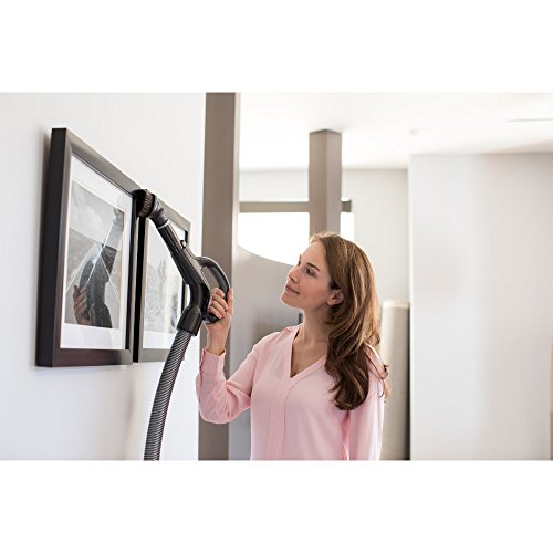 Electrolux EL7085B Ultraone Deluxe Canister Vacuum Pricepulse