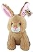 Shelter Pets: Ostara The Bunny - 10