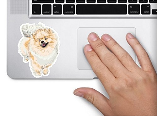 Dog pomeranian 3.5x3.2 inches sticker decal die cut vinyl - Made and Shipped in USA
