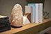 Authentic Natural Himalayan Salt Lamp 7-9