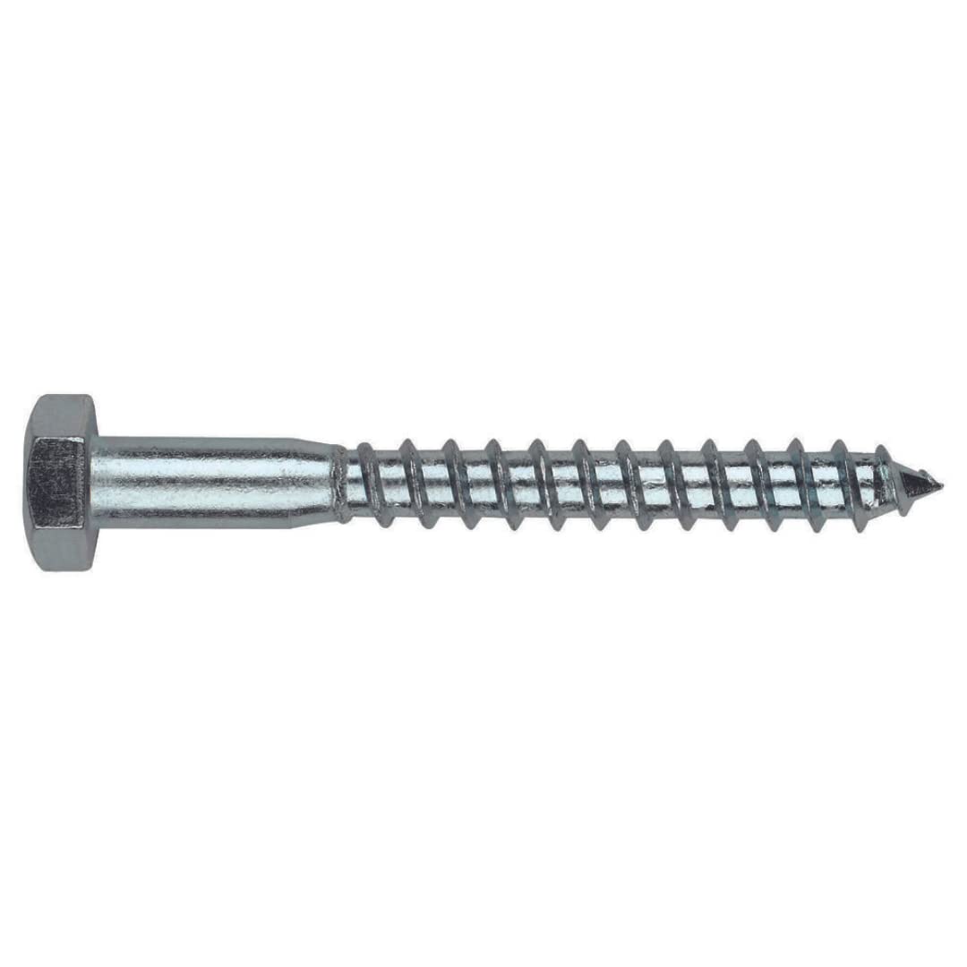 Index tb10110 – Coach Screw DIN 571 10 X 110