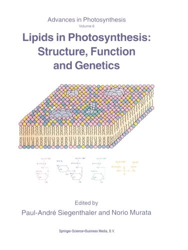 Lipids in Photosynthesis: Structure, Function and Genetics (Advances in Photosynthesis and Respiration) (Volume 6)