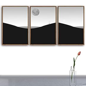 3 Piece Framed Canvas Wall Art for Living Room, Bedroom Nordic Simple Style Canvas Prints for Modern Home Decoration Ready to Hang - 16"x24"x3 Panels