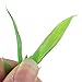 Jardin Plastic Aquarium Tank Plants Grass Decoration, 10-Piece, Green