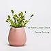 Modern Flower Pot, Ceramic Succulent Pots, 3 Inch Pots for Plants with Drainage, Set of 3 Plant Pots Indoor