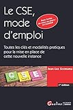 LE CSE, MODE D EMPLOI: CLES ET MODALITES PRATIQUES POUR LA MISE PLACE DE CETTE NOUVELLE INSTANCE (GUIDES PRO) by
