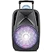 12-Inch Light-Up Portable Bluetooth DJ Speaker with Disco Lightthumb 1