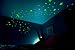 Glow Dark Stars - Best & Brightest Glow In The Dark Stars - An Amazing Gift For Any Kid - FREE Constellations Booklet! - Perfect For Decorating Any Baby Nursery, Room Ceilings, Walls, Doors, & More!