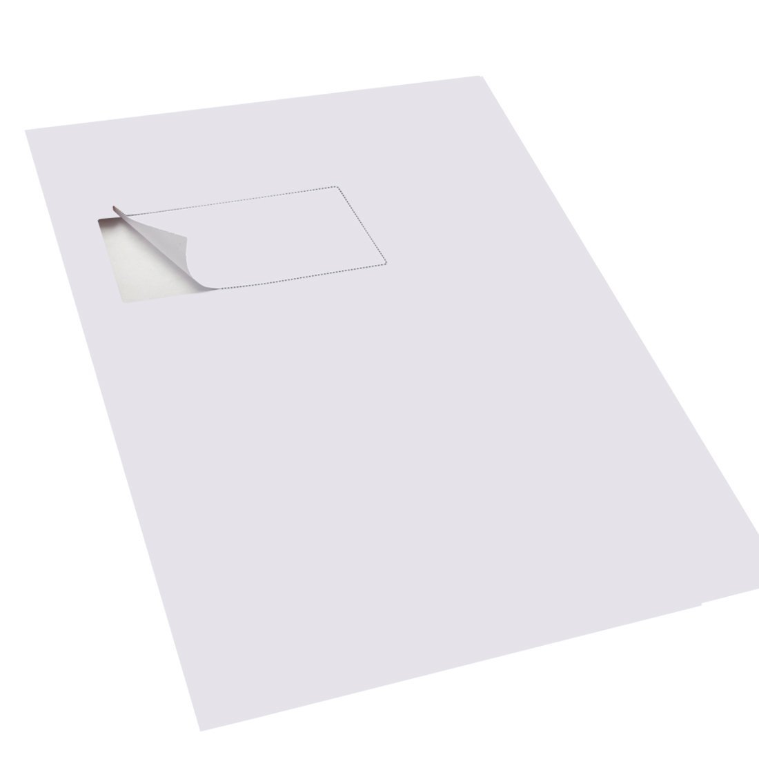 Triplast 110 x 60 mm A4 Integrated Labels Address Peel Off Dispatch Notes Packing Slips - White (Pack of 1000)