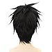 MSHUI Anime Movie Big hero 6 Hiro Hamada Costume Cosplay Wig Black Short Hair