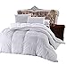 Royal Hotel Bedding 300 Thread Count Queen Size Down-Alternative Comforter, Overfilled Comforter, Duvet Insert 100% Cotton Shell - 100% Down-Alternative Fill, 750FP - 70OZ - White Solid, Queen