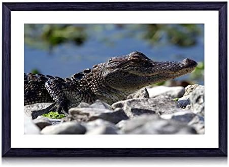 80cmx60cm 木製の黒色のフォトフレーム ワニ爬虫類クロール顔 壁掛け 壁飾り 壁ポスター おしゃれ ウォールアート アートパネル 壁の絵 インテリア絵画 額縁 部屋飾り 装飾画