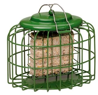 The Nuttery Squirrel Proof Oval Bird Feeder Suet Block Amazon