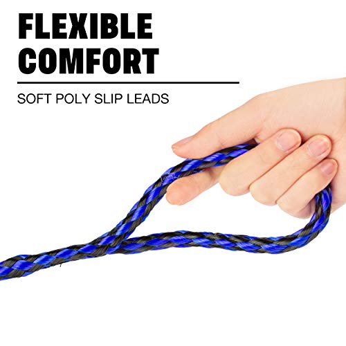 bulk slip leashes