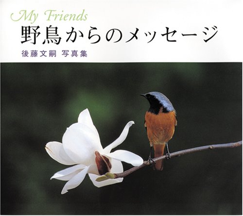 野鳥からのメッセージ 後藤文嗣写真集 Amazon Com Books