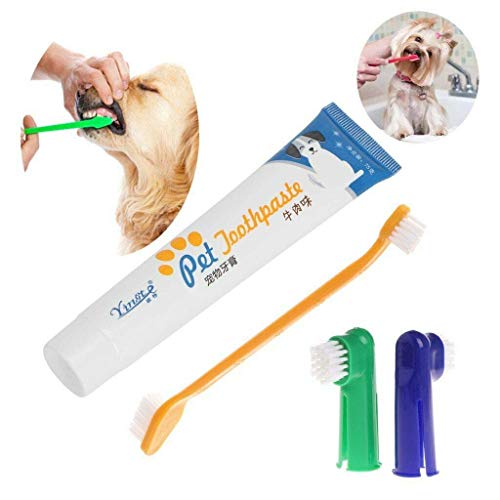 Dog Dental Care Tartar Control Kit for Dogs - Toothpaste, Toothbrush & Fingerbrush - Pet Cat Toothbrush Puppy Dog Finger Toothbrush - Reduces Plaque and Tartar Buildup - 4 Piece Kit (Beef Flavor)