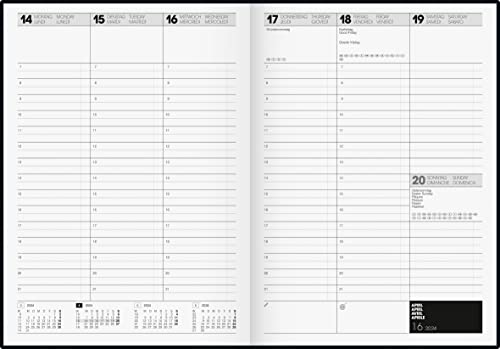 View 3