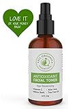 Antioxidant Facial Toner With Vitamin C | Pore Minimizer for Face | Face Spray for All Skin Types | Aloe Vera & Tea Tree Oil | Nourishes & Hydrates the Skin All Organic Essentials - 4 Oz