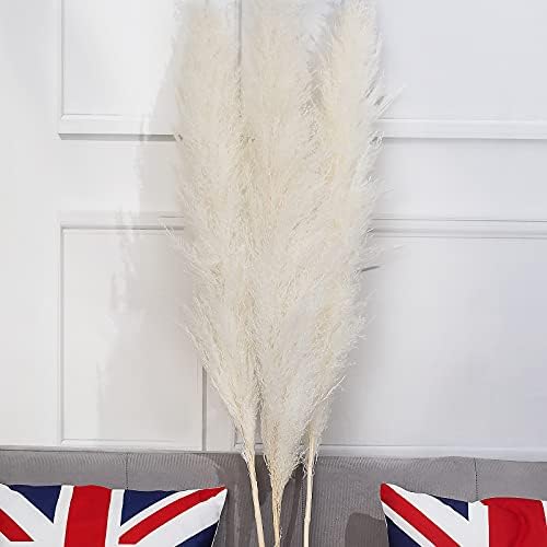 Pure Pampas Grass Giant, Tall Pompass Grass Dried, Boho Decor for Wedding ceremony, Residing Room, Dwelling, Flower Preparations – 42″/Bundle of three
