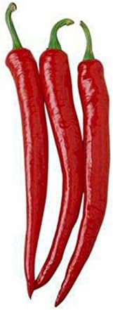 Cayenne Long Slim 10 x Chilli Seeds