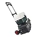 Pack-N-Roll 83-298-917 Folding Hand Truck Dolly, 250 lbs Capacity