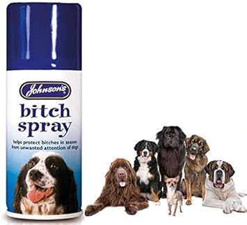 one year old dog peeing in the house