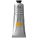 Winsor & Newton Professional Acrylic Color Paint, 60ml Tube, Yellow Ochre