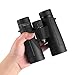 Wingspan Optics Voyager 10X42 High Powered Binoculars for Bird Watching. Bright and Clear Views - Waterproof and Fog Proof - for Bird Watching, Hiking and Exploring. Formerly Polaris Optics.