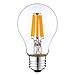 12Vmonster DC 12V 6 Watt Warm White 2700k LED Edison Filament A60 A19 Light Bulb E26 E27 Medium Base Lamp DC 12V 24V 36V Camping RV Cabin DC Battery Bank System Lighting Tesla Powerwall Motor Home PV