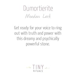 Tiny Rituals DUMORTIERITE ENERGY BRACELET