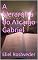 Livro A hierarquia do Arcanjo Gabriel (Série Anjos da Luz Livro 4)