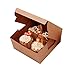 Prudance 15pcs 6x6x3in Brown Bakery Boxes with Window include 4 Cupcake Box Insert,Kraft Cupcake Boxes for Cookie,Cakes, Pastries and Chocolate Covered Strawberries.