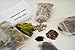 9GreenBox - Terrarium/Fairy Garden Kit - Create Your Own Living Terrarium or Fairy Garden