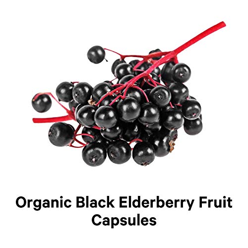 Organic Black Elderberry Supplement Vitamin C, D, Zinc Fermented