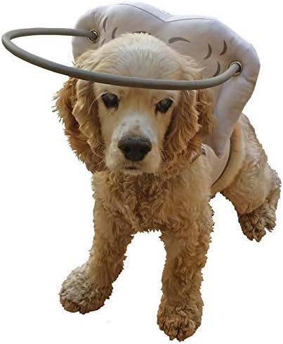 toys for blind dogs amazon