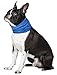 Novel Brands K9 Chill Dog Cooling Collar (Small/Medium 8