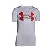 Under Armour Big Logo Hybrid Short Sleeve Tee (Big Kids) Cloud Gray/Risk Red SM (8 Big Kids)